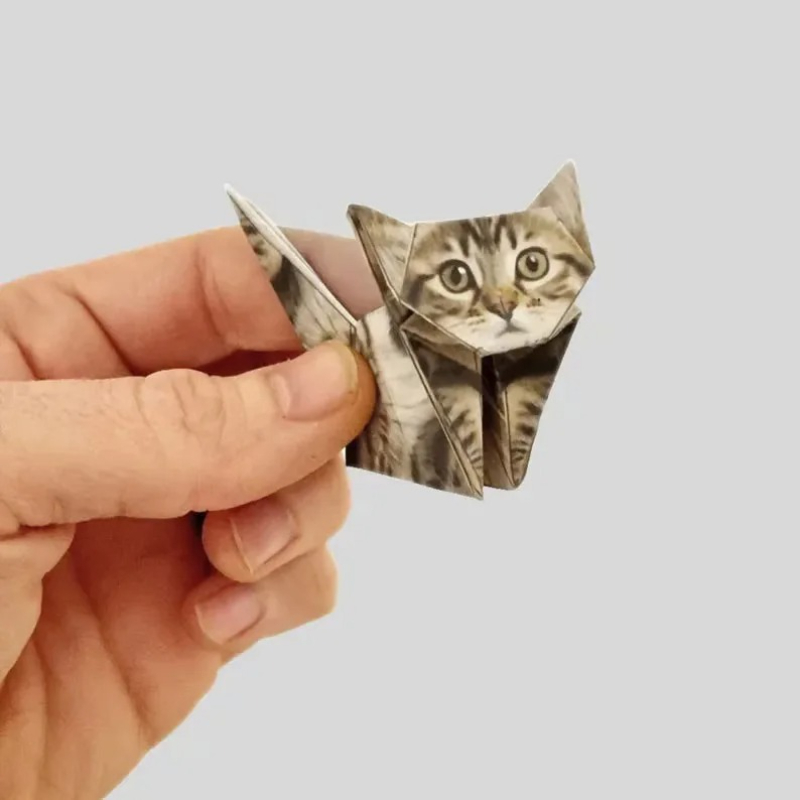 Set Kertas Origami DIY Kreatif - Art Craft Dinosaurs ulasan dan harga
